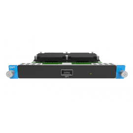 MX_2x2110(25G) input card