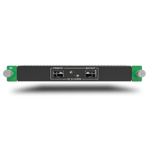 MX_1x2110(25G) input card