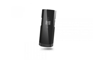 Lingua R