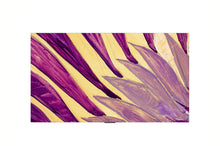 Carica l'immagine nel visualizzatore di Gallery, 55WM960H