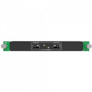 MX_2x2110(25G) input card