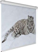 Carica l'immagine nel visualizzatore di Gallery, PW1X3001870SA