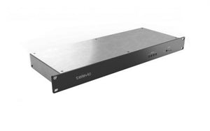 Lingua L12